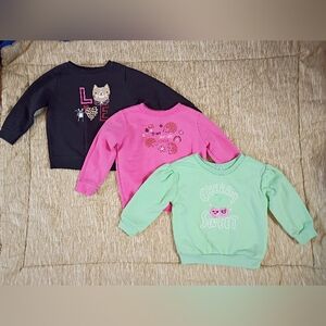 Garanimals Bundle Of 3 Toddler Girl Sweatshirts Size 24M